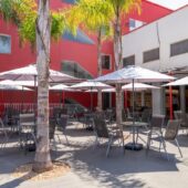 colegio-novo-sib (1)