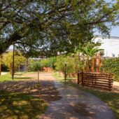 colegio-novo-sib (3)
