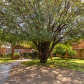 colegio-novo-sib (6)