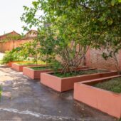 colegio-novo-sib (9)